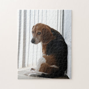Puzzle actitud del beagle