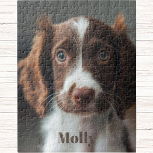 Puzzle Actividades divertidas y atractivas para el amante