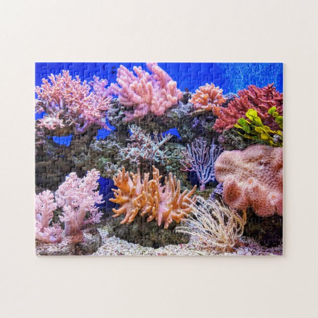 Puzzle Acuario de agua salada - Arrecife de coral (Horizontal)