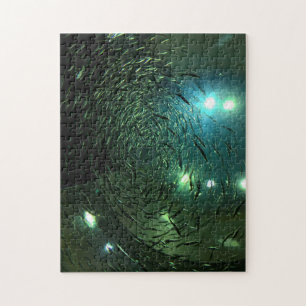 Puzzle Acuario de Toronto Canadá.