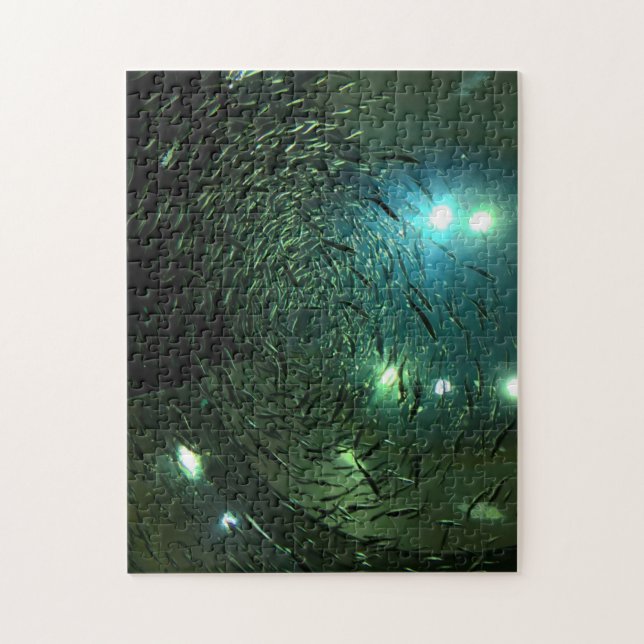 Puzzle Acuario de Toronto Canadá. (Vertical)