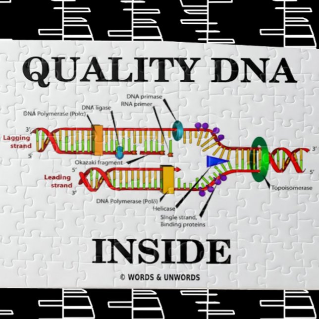 Puzzle Adentro de ADN de calidad (replicación del ADN) (Jigsaw puzzle for anyone with "Quality DNA Inside")