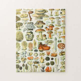 Puzzle Adolphe Millot