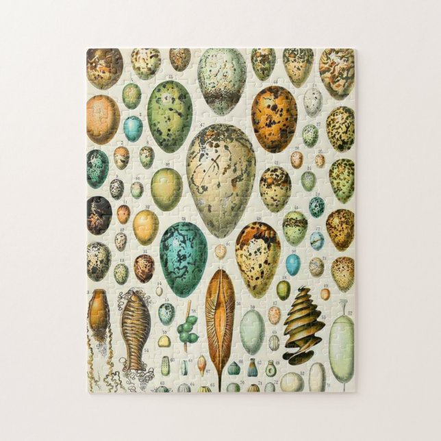 Puzzle Adolphe Millot (Vertical)