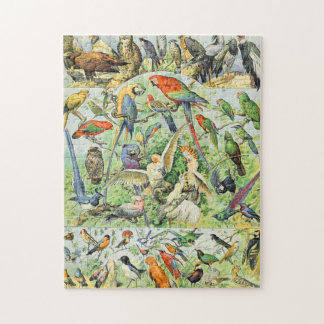 Puzzle Adolphe Millot