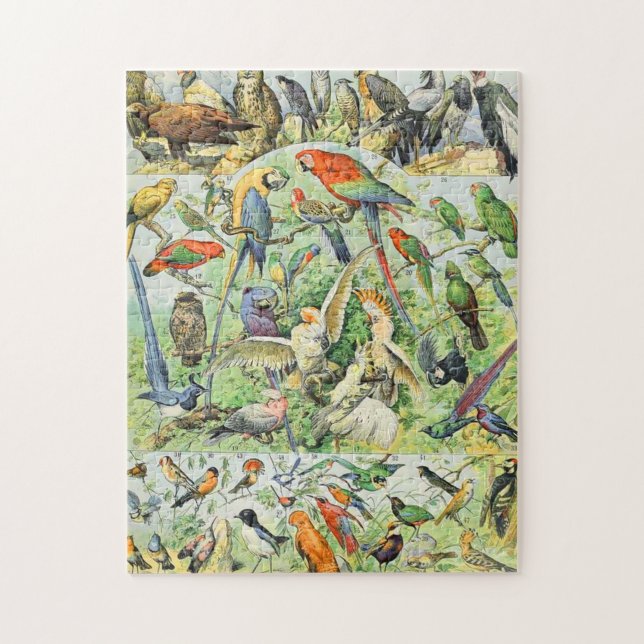 Puzzle Adolphe Millot (Vertical)