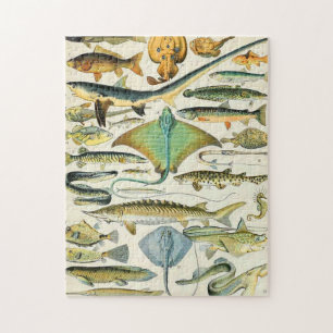 Puzzle Adolphe Millot B
