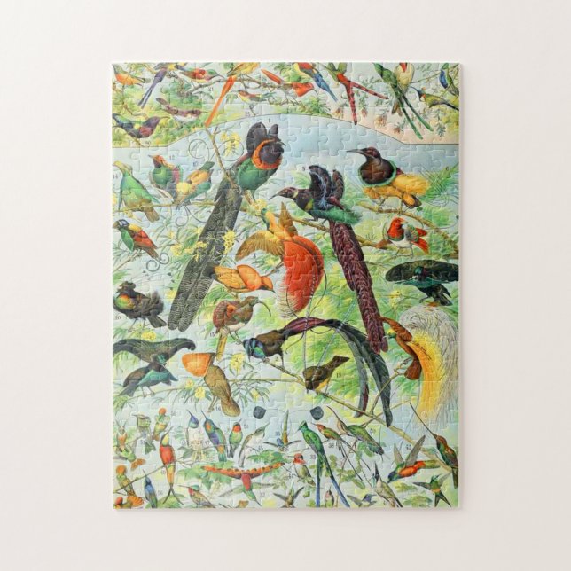 Puzzle Adolphe Millot birds B (Vertical)