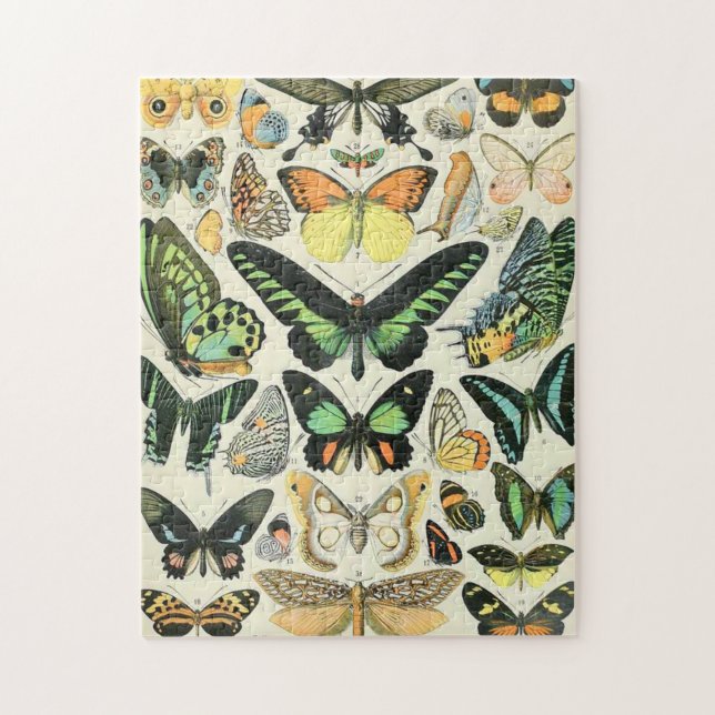 Puzzle Adolphe Millot butterflies B (Vertical)