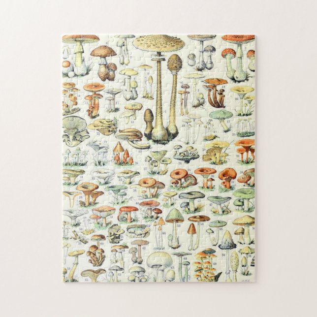 Puzzle Adolphe Millot champihroom B (Vertical)