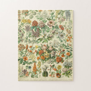 Puzzle Adolphe Millot Fleurs C