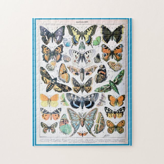 Puzzle Adolphe Millot List of Butterflies (Vertical)