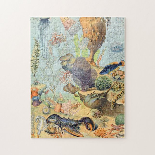 Puzzle Adolphe Millot ocean B (Vertical)
