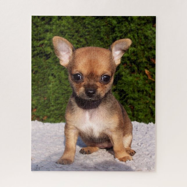 Puzzle Adorable cachorro chihuahua (Vertical)
