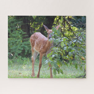 Puzzle Adorable ciervo de cola blanca Fawn Peeeking