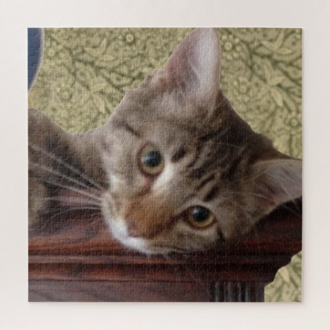 Puzzle Adorable Cute Kitten (Vertical)