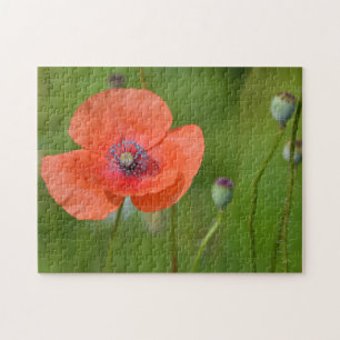 Puzzle Adorable disquetera roja