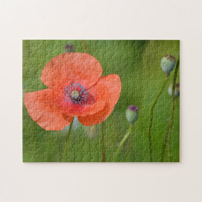 Puzzle Adorable disquetera roja (Horizontal)