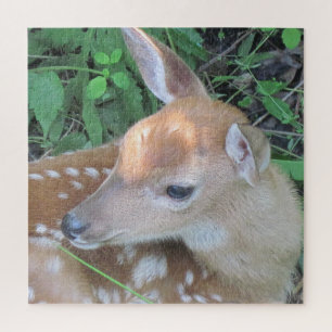 Puzzle Adorable Fawn