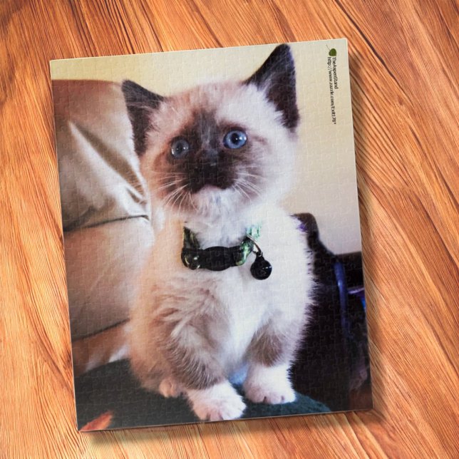 Puzzle Adorable foto de cierre de ojos azules de gatito s (jigsaw puzzle on table)
