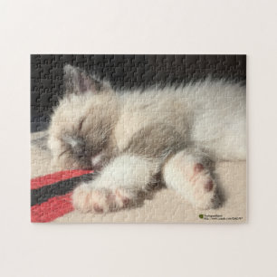 Puzzle Adorable foto de gatito dormido