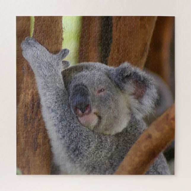 Puzzle Adorable Koala Bear (Vertical)