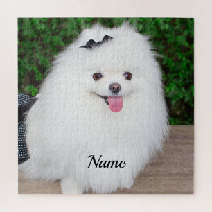 Puzzle Adorable Perro de Cachorro Blanco