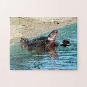 Puzzle Adorable Soft Shell Turtle at the Beach