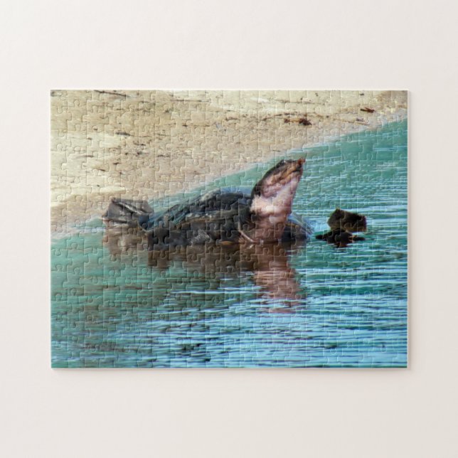 Puzzle Adorable Soft Shell Turtle at the Beach (Horizontal)