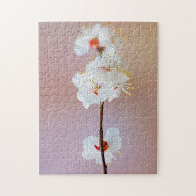 Puzzle Adorables flores de albaricoque japonés en primave (Vertical)