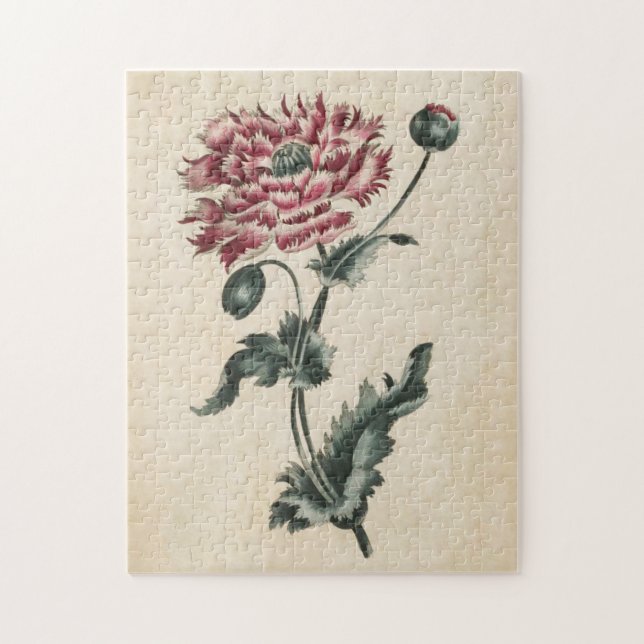 Puzzle Adormidera Floral Botánica Vintage (Vertical)