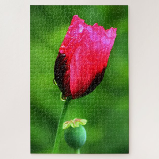 Puzzle Adormidera y gotas de lluvia (Vertical)