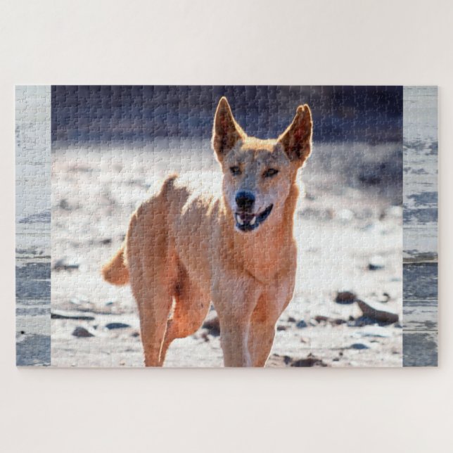 Puzzle Adulto Dingo Dog (Horizontal)