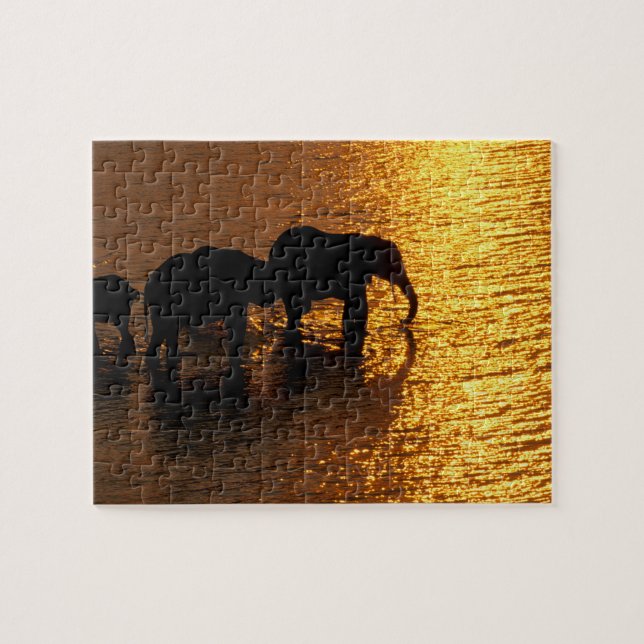 Puzzle África, Botsuana, Delta del Okavango. Africano (Horizontal)