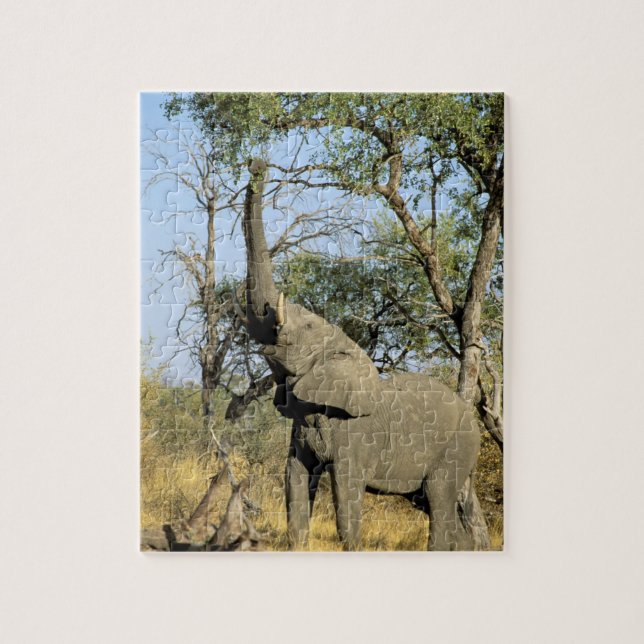 Puzzle África, Botsuana, Delta del Okavango. Africano 2 (Vertical)