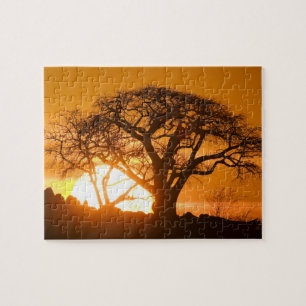 Puzzle África, Botsuana, Sol poniente siluetea Baobab