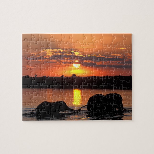 Puzzle África, Botswana, Parque Nacional de Chobe, Herd (Horizontal)