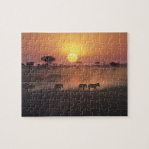 Puzzle África, Kenia, Amboseli NP. Las cebras caminan hac