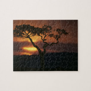Puzzle África, Kenia, la reserva de caza Masai Mara, esc