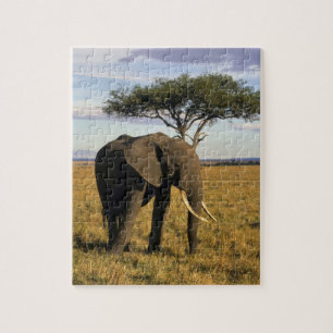 Puzzle África, Kenia, Maasai Mara. Un elefante en el