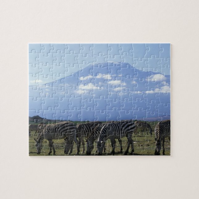 Puzzle África, Kenia, Parque Nacional Amboseli, Herd de (Horizontal)
