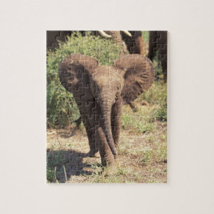 Puzzle África, Kenia, Parque Nacional de Amboseli. Africa