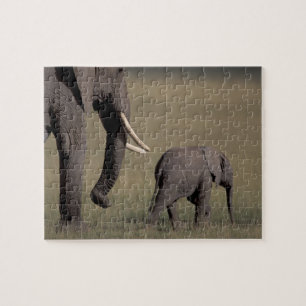 Puzzle África, Kenia, Parque Nacional de Amboseli. Africa