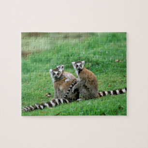 Puzzle África, Madagascar, Antananarivo, Tsimbazaza