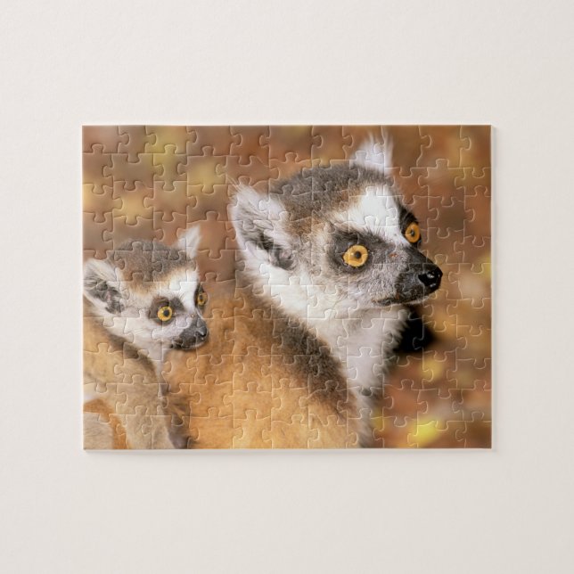 Puzzle África, Madagascar, Reserva Privada Berenty. (Horizontal)