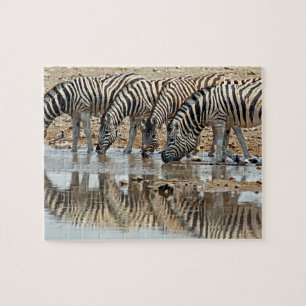 Puzzle África, Namibia, Etosha NP. Cebra de Burchell