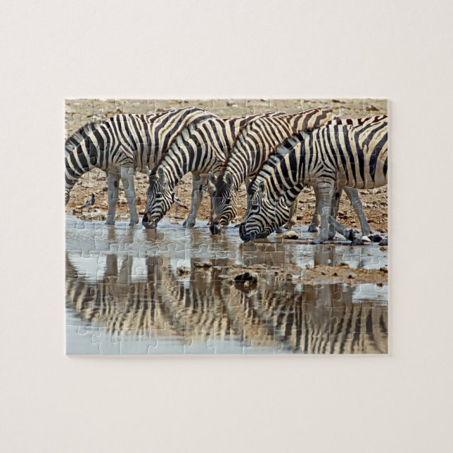 Puzzle África, Namibia, Etosha NP. Cebra de Burchell (Horizontal)