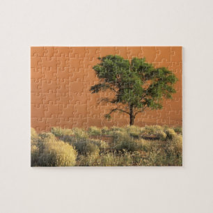 Puzzle África, Namibia, Parque Nacional Namib, Sossusvlei