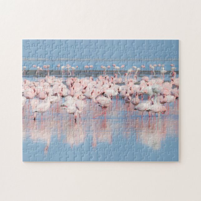 Puzzle África, Namibia, Walvis Bay (Horizontal)