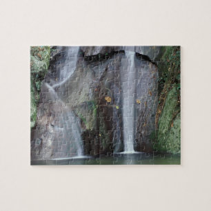Puzzle África, Uganda, selva impenetrable de Bwindi,